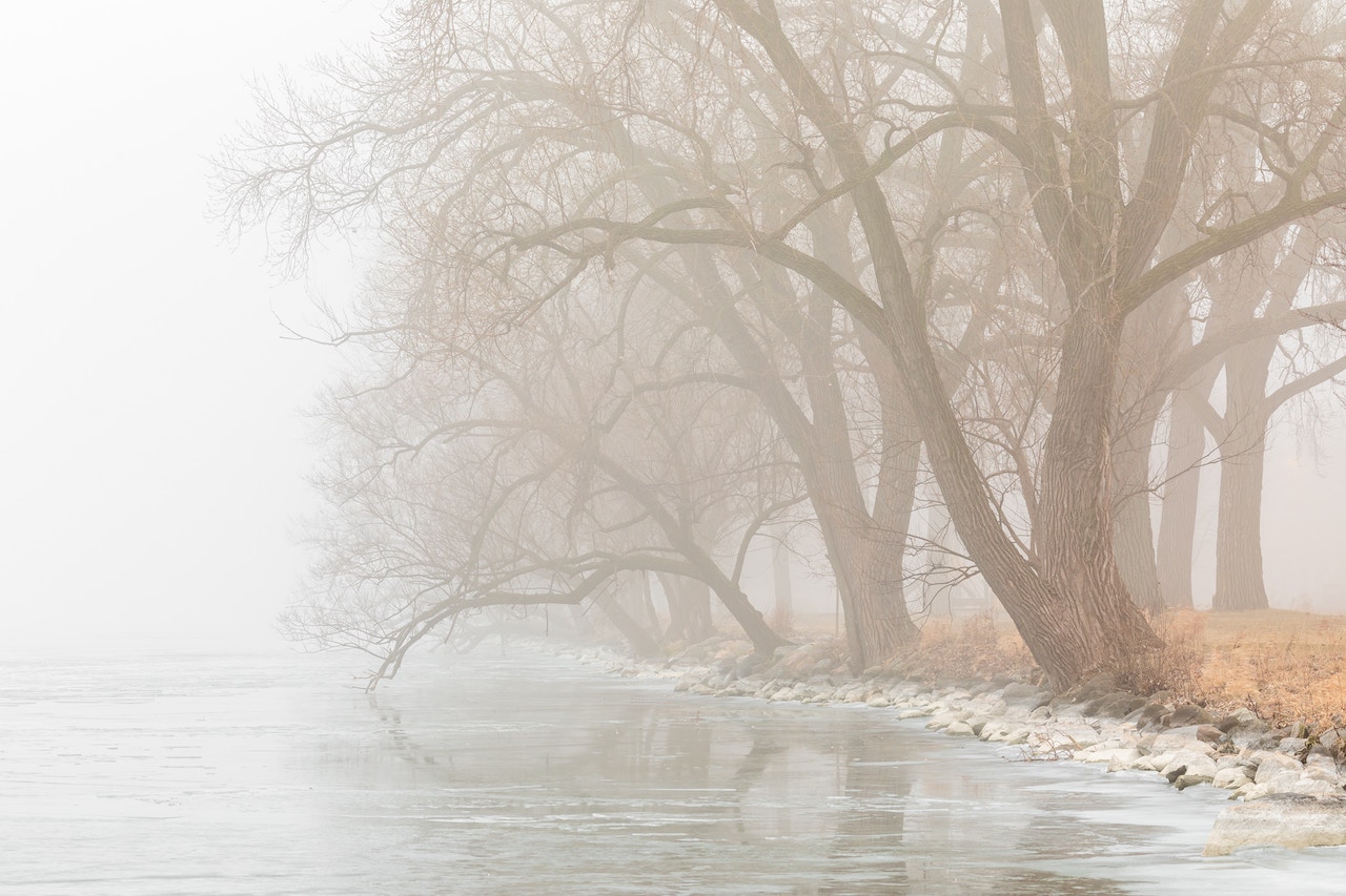 mist and river